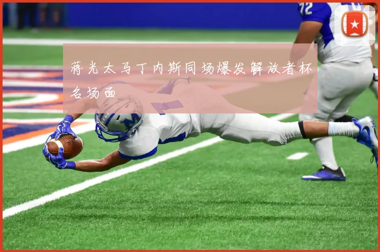 蒋光太马丁内斯同场爆发解放者杯名场面