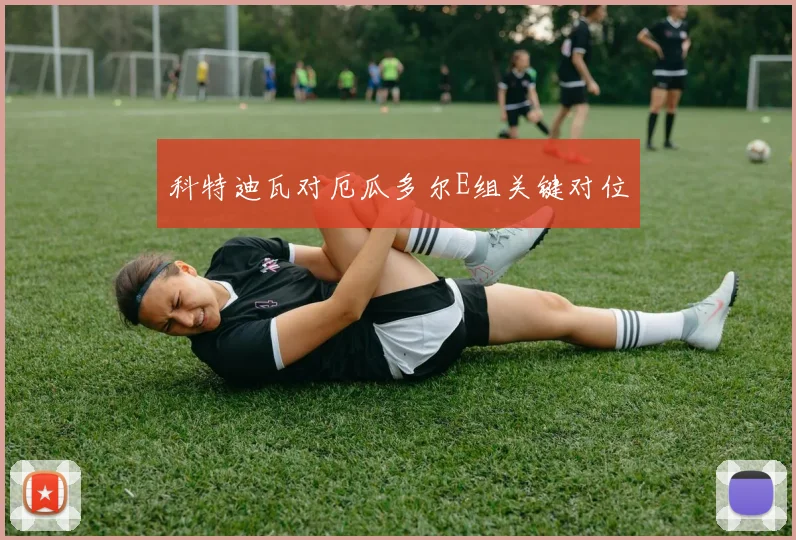 科特迪瓦对厄瓜多尔E组关键对位
