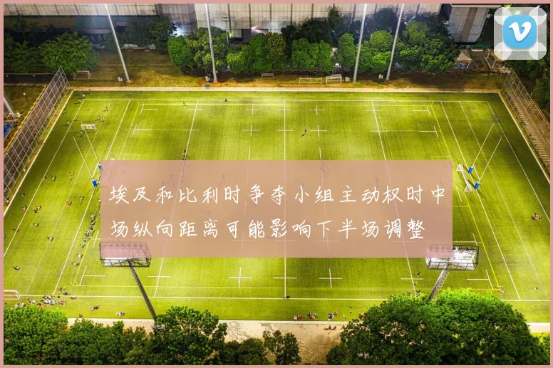 埃及和比利时争夺小组主动权时中场纵向距离可能影响下半场调整