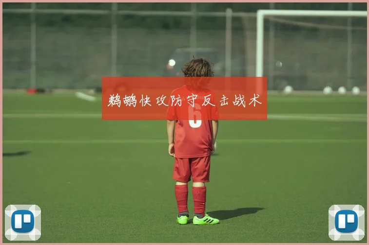 鹈鹕快攻防守反击战术
