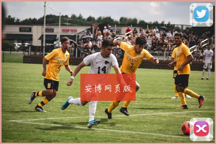 安博网页版