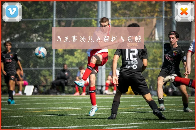 马里赛场焦点解析与前瞻