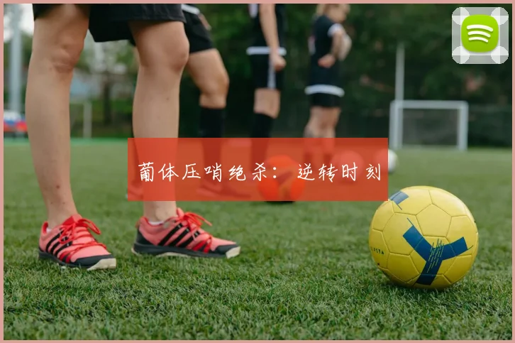 葡体压哨绝杀：逆转时刻