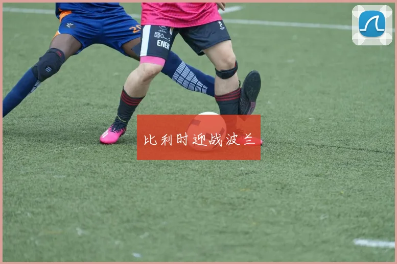比利时迎战波兰