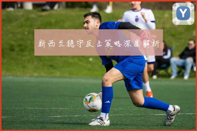 新西兰稳守反击策略深度解析