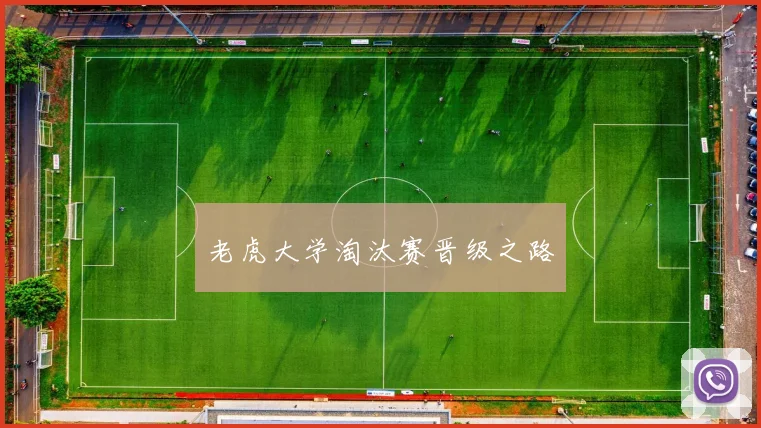 老虎大学淘汰赛晋级之路
