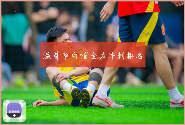 温哥华白帽全力冲刺排名