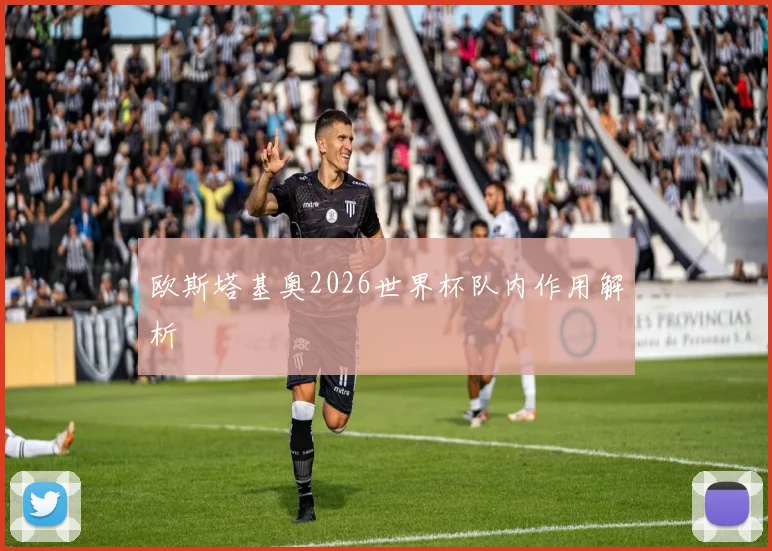 欧斯塔基奥2026世界杯队内作用解析