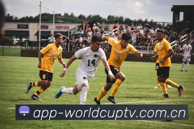 关于大咖陪你看世界杯_2022年卡塔尔世界杯_央视网