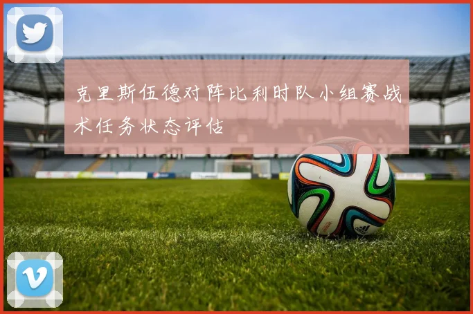 克里斯伍德对阵比利时队小组赛战术任务状态评估