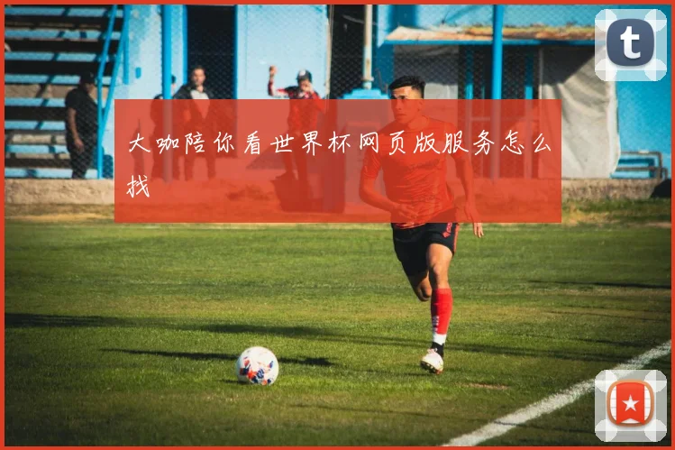 大咖陪你看世界杯网页版服务怎么找