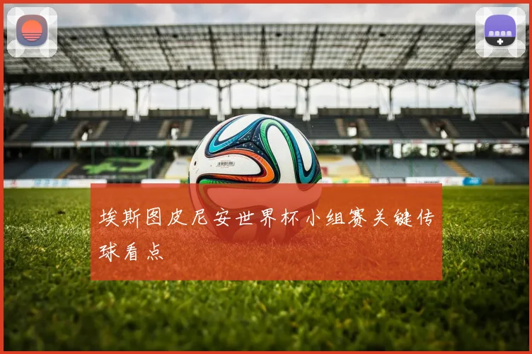 埃斯图皮尼安世界杯小组赛关键传球看点