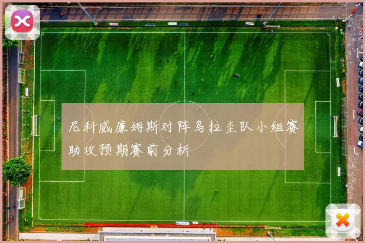 尼科威廉姆斯对阵乌拉圭队小组赛助攻预期赛前分析