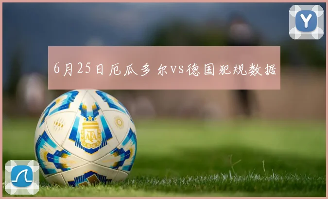 6月25日厄瓜多尔vs德国犯规数据