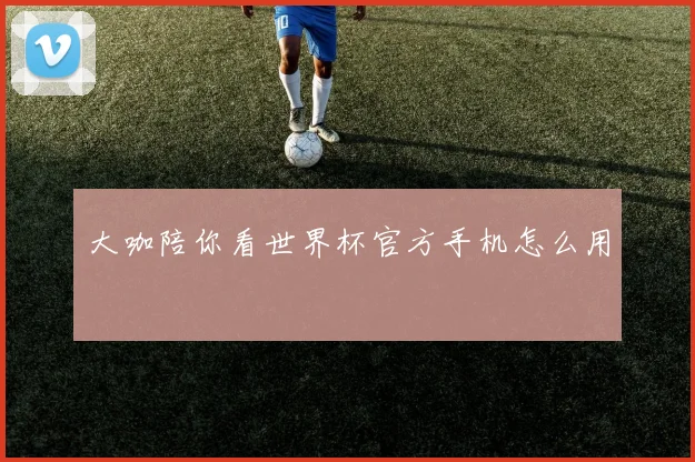 大咖陪你看世界杯官方手机怎么用