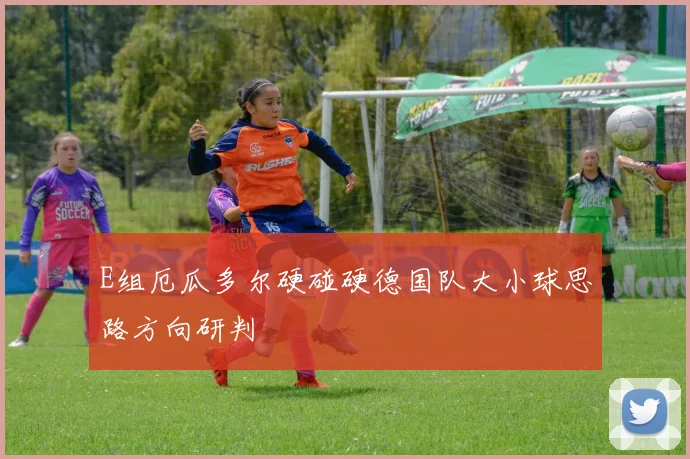 E组厄瓜多尔硬碰硬德国队大小球思路方向研判